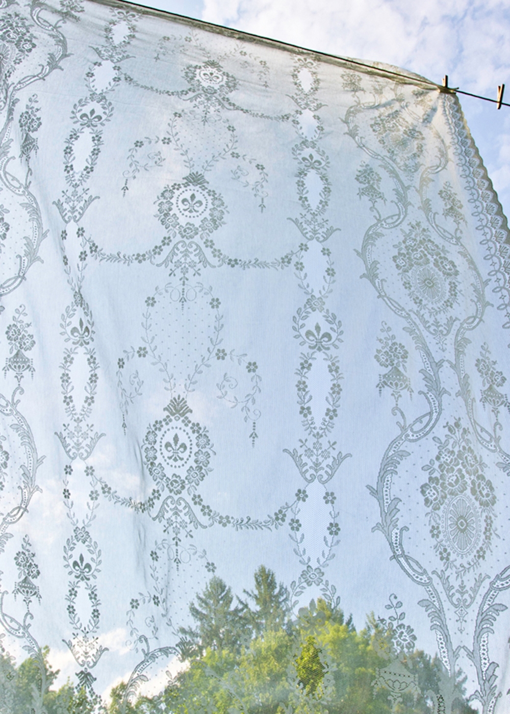 Beatrice Nottingham Lace Curtain